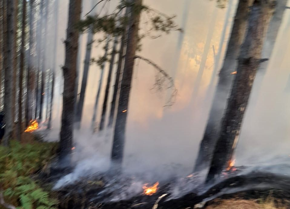 Πυρκαγιά σε δασική έκταση στο Κένταυρο προς Αχλάδια