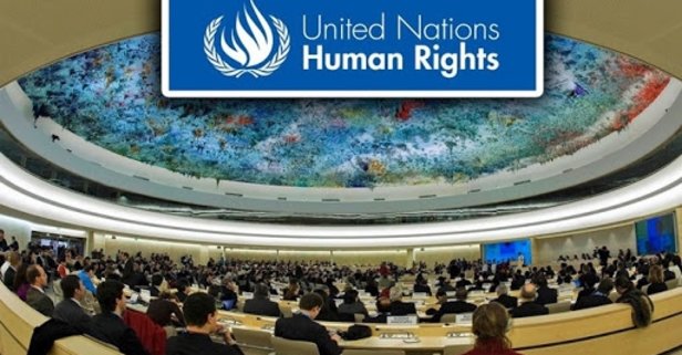 BM İnsan Hakları Konseyi İsveç'i 