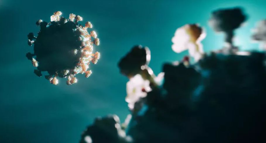 Çin'de koronavirüs yeniden hortladı