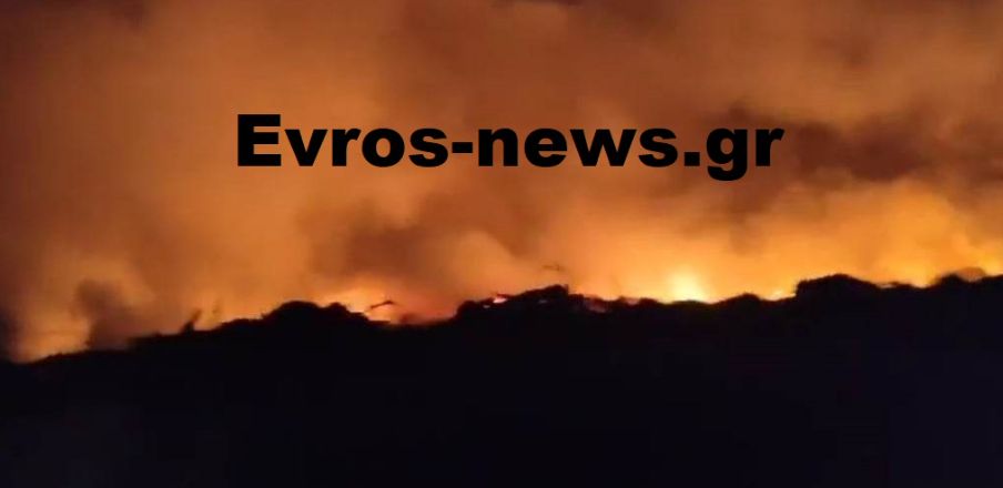 ΤΩΡΑ: Μεγάλη φωτιά στην Άνθεια Αλεξανδρούπολης