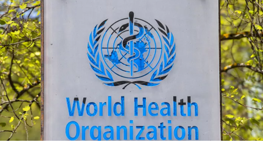 Dünya Sağlık Örgütü: BAE'de bir kişinin Orta Doğu Solunum Sendromu Koronavirüsü (MERS-CoV) testi pozitif çıktı