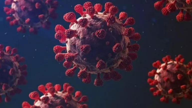 DSÖ'den yeni coronavirus varyantı uyarısı