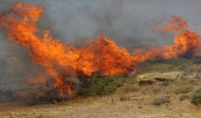 Gümülcine'nin MEHRİKOZ Bölgesinde Orman Yangını