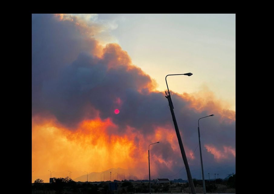 Dedeağaç'taki yangınlarda Dadia ormanında 26 kişi yanarak can verdi