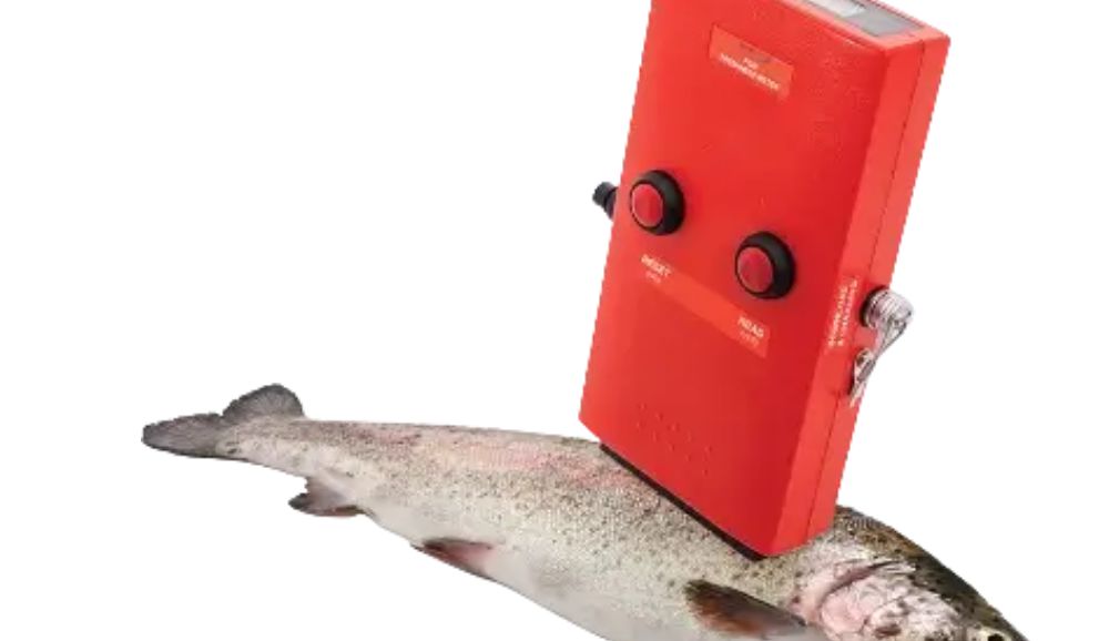 Συσκευή χειρός που “καταλαβαίνει” εάν το ψάρι είναι φρέσκο