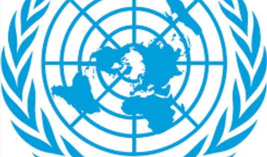 BM Genel Kurulu Gazze'de acil ateşkes karar tasarısını kabul etti