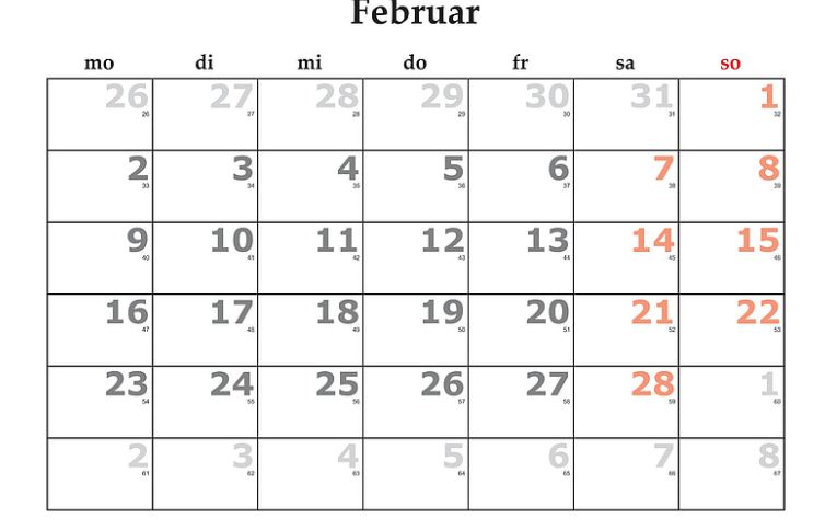 Şubat ayı neden 4 yılda bir 29 gün?