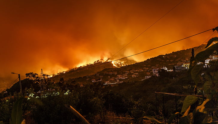 Yunanisntan'da orman yangınları erken başladı.....