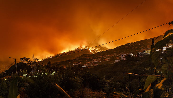 Πυρκαγιά: Στον εισαγγελέα ο δήμαρχος και οι άλλοι τρεις συλληφθέντες